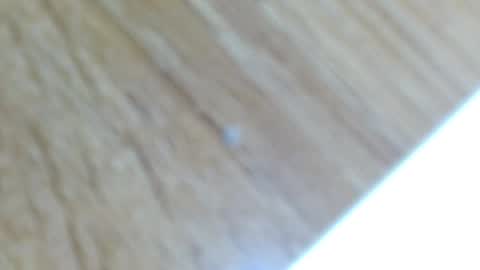 Lucie   online show from 12.13.24