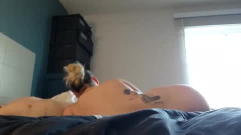 luckilyfound33 online show from 03.12.26