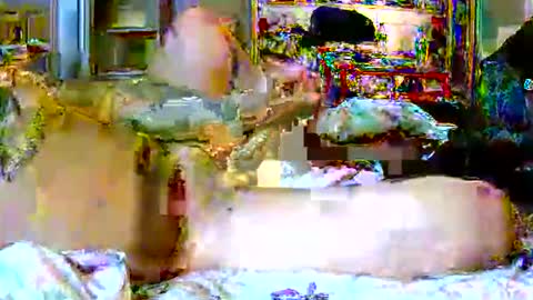 lucky134u online show from 04.09.26