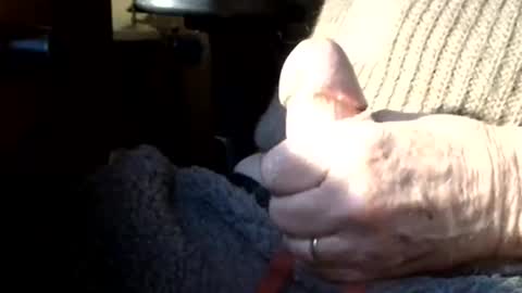 Snapshot of luckypirateboy chatting on 03.08.26 BIG Daddy cock. Tips make it harder online show from 03.08.26