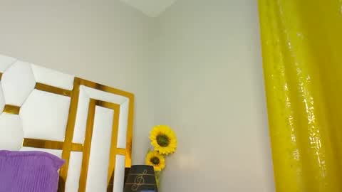 Snapshot of luckyy003 chatting on 03.01.25 brielle online show from 03.01.25