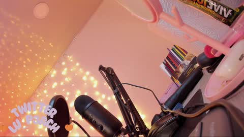 Snapshot of lucyy_peach chatting on 01.25.25 LUCYY FROM HOME  online show from 01.25.25