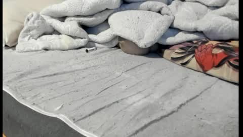 Snapshot of luffykun300 chatting on 04.06.26 luffykun300 online show from 04.06.26