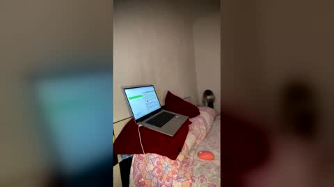 Luisa Monsters online show from 02.23.26