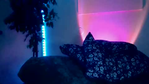 luisjg24hrs online show from 05.18.26