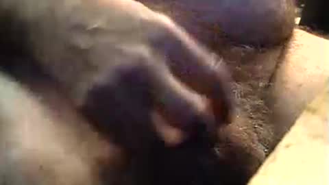 lukestarfckr online show from 09.11.25