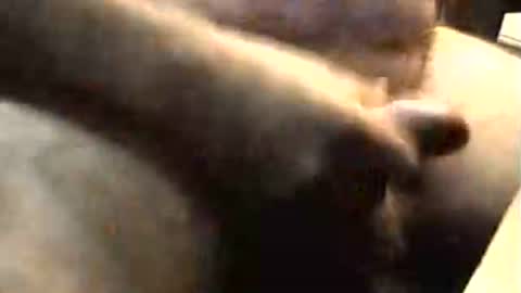 lukestarfckr online show from 11.02.25