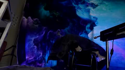 lukewilde online show from 02.24.25