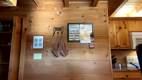 Snapshot of lulupixxx chatting on 01.02.25 Connie online show from 01.02.25