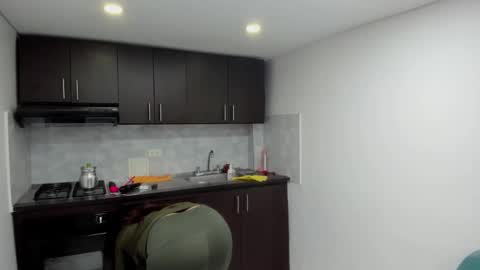 Snapshot of luna_dumont chatting on 11.25.25 luna online show from 11.25.25