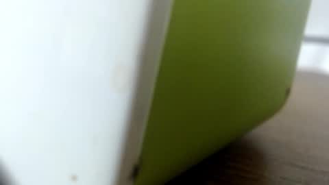 Snapshot of lunasky83 chatting on 10.05.25 luna online show from 10.05.25