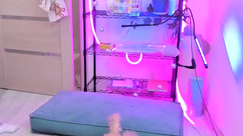 Kate online show from 02.14.25