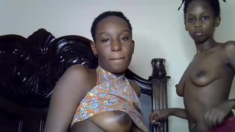 lutino_lovebirds online show from 03.12.26