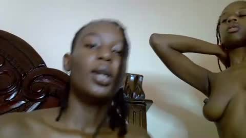 lutino_lovebirds online show from 04.19.26