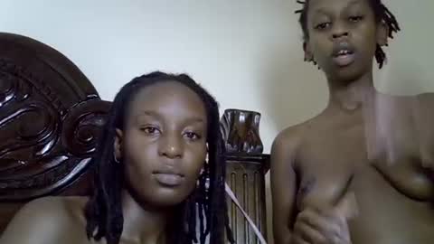lutino_lovebirds online show from 04.19.26