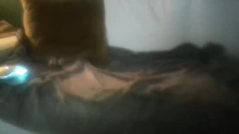 Snapshot of luvbigtits271 chatting on 01.01.25 luvbigtits271 online show from 01.01.25