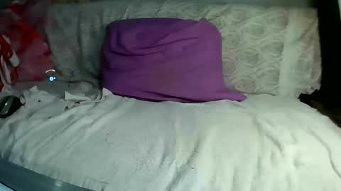 Bee Bee online show from 03.10.25