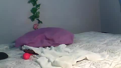 Bee Bee online show from 10.15.25