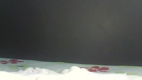 Bee Bee online show from 02.09.26