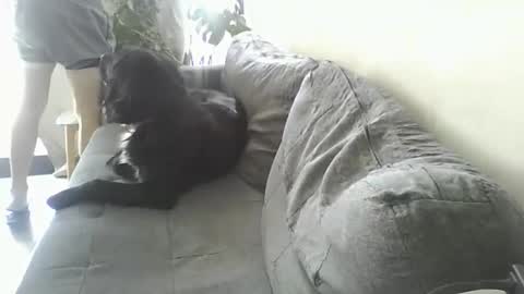 Snapshot of luzardol chatting on 03.05.25 luzardol online show from 03.05.25