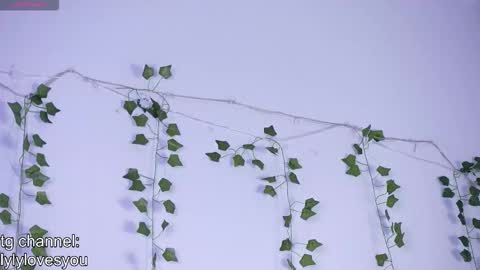 Lyly   online show from 11.13.25