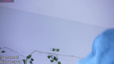 Lyly   online show from 11.17.25