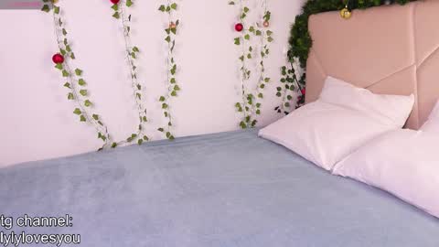 Snapshot of lyly_loveyou chatting on 12.17.25 Lyly online show from 12.17.25