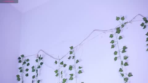 Snapshot of lyly_loveyou chatting on 01.12.26 Lyly online show from 01.12.26