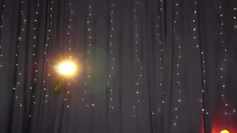 Snapshot of lynn_feline chatting on 01.31.25 Lynn online show from 01.31.25