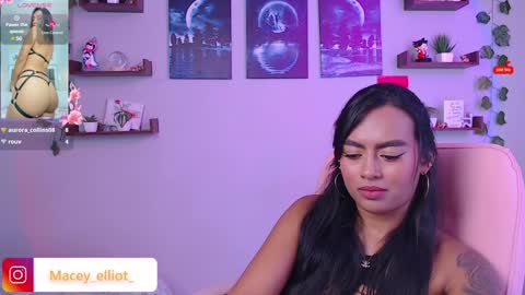 Macey Elliot Modelo Independiente online show from 02.06.25