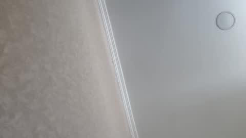 Snapshot of machine2291 chatting on 02.23.26 Tchia online show from 02.23.26