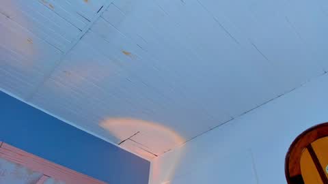  Maddy Crofft online show from 02.01.25