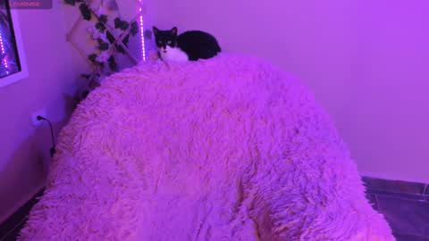 Snapshot of madelinebenet chatting on 09.29.25 Madeline online show from 09.29.25