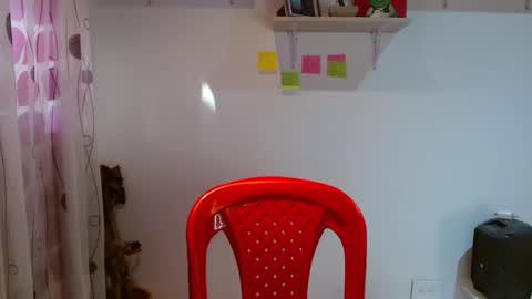 Snapshot of madisoncambel chatting on 01.29.25 Madison Cambel online show from 01.29.25