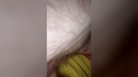 madmed69 online show from 06.27.26