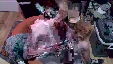 magnetic77slav online show from 01.09.26