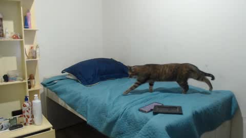 MAKENNAA online show from 03.12.25