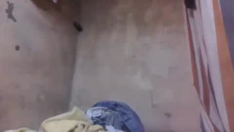 malalazah online show from 03.08.26