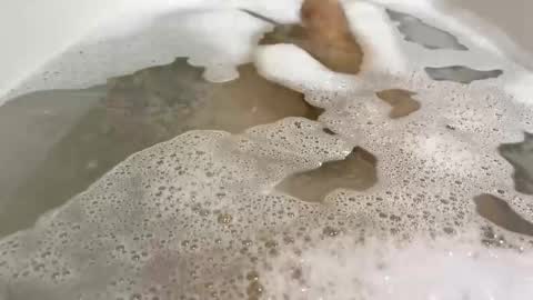 Monad online show from 11.10.25