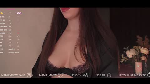 Snapshot of mamiemeow chatting on 01.30.25 Your Miss Alice online show from 01.30.25