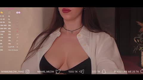 Snapshot of mamiemeow chatting on 02.03.25 Your Miss Alice online show from 02.03.25