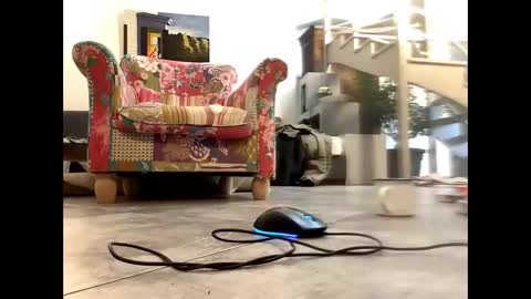 man38110 online show from 03.09.25