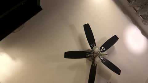 Snapshot of man4limitlessfun chatting on 11.21.25 Kaleb online show from 11.21.25