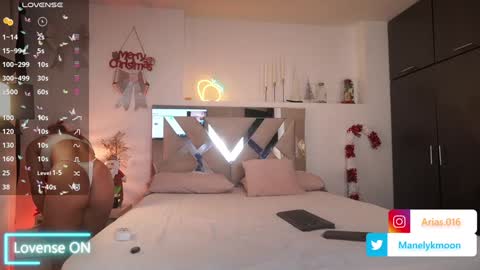 Snapshot of manelyk_10 chatting on 12.29.24 online show from 12.29.24