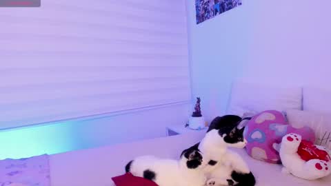 Snapshot of manelyk_10 chatting on 02.02.26 online show from 02.02.26