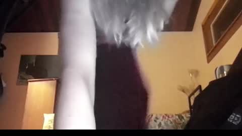 Snapshot of mangoseeed chatting on 11.01.25 mangoseeed online show from 11.01.25