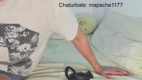 Snapshot of mapache1177 chatting on 03.04.26 mapache1177 online show from 03.04.26