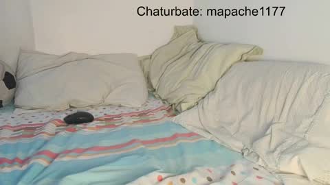 mapache1177 online show from 05.21.26