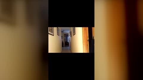 marcos260526 online show from 02.01.26