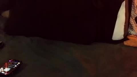 marctheslut online show from 05.26.26